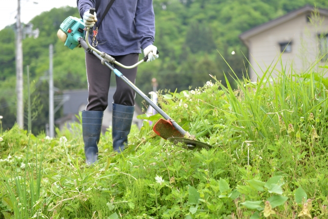 丹波篠山市で草刈りに最適な年3回の時期～楽に草刈りを終えるコツまで徹底解説